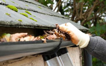 gutter cleaning Hollins
